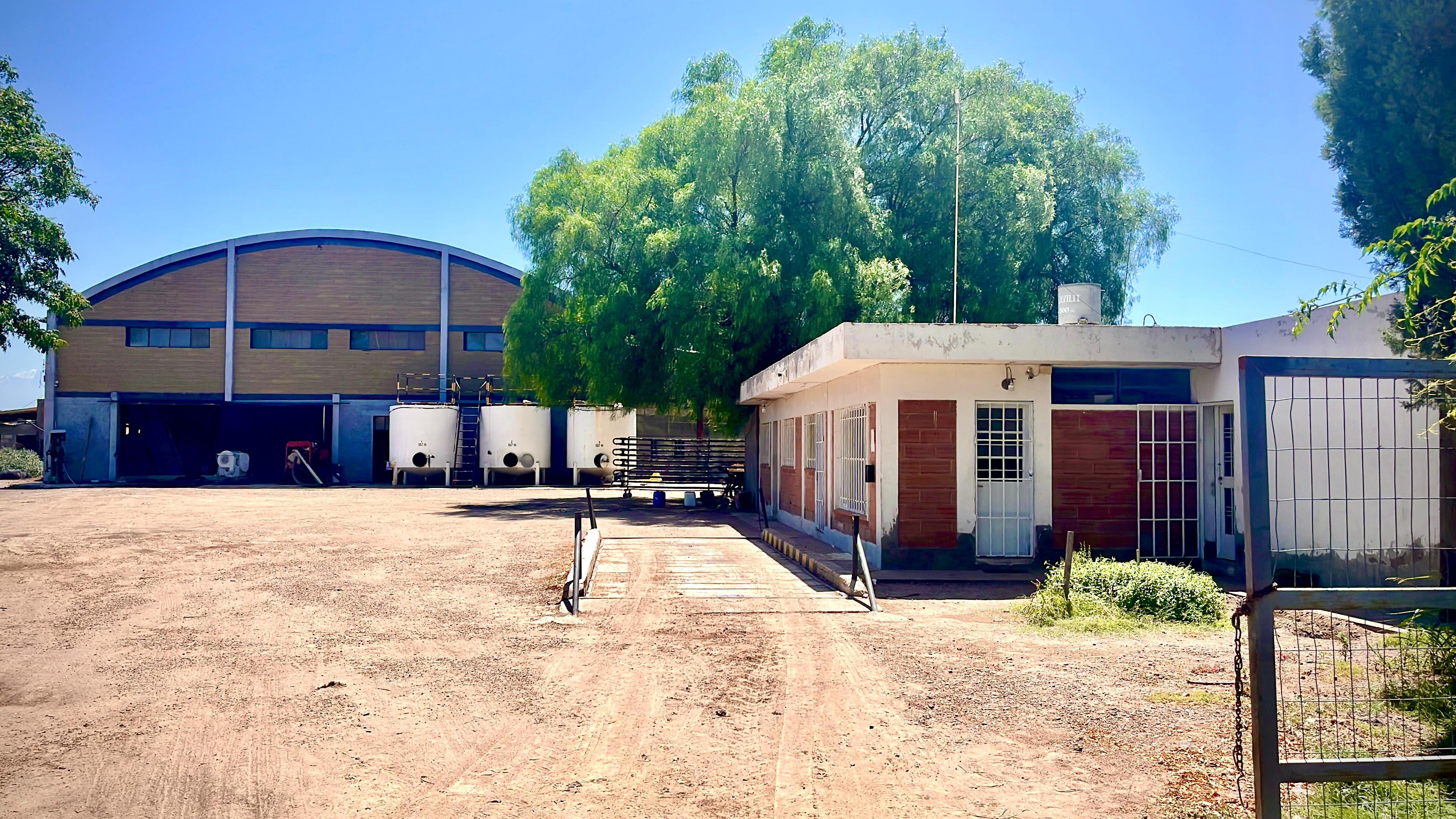 Ingreso a la Bodega Corrales Negros