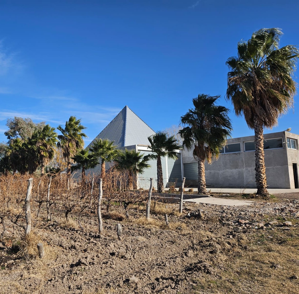 Bodega Nietas de Liparí