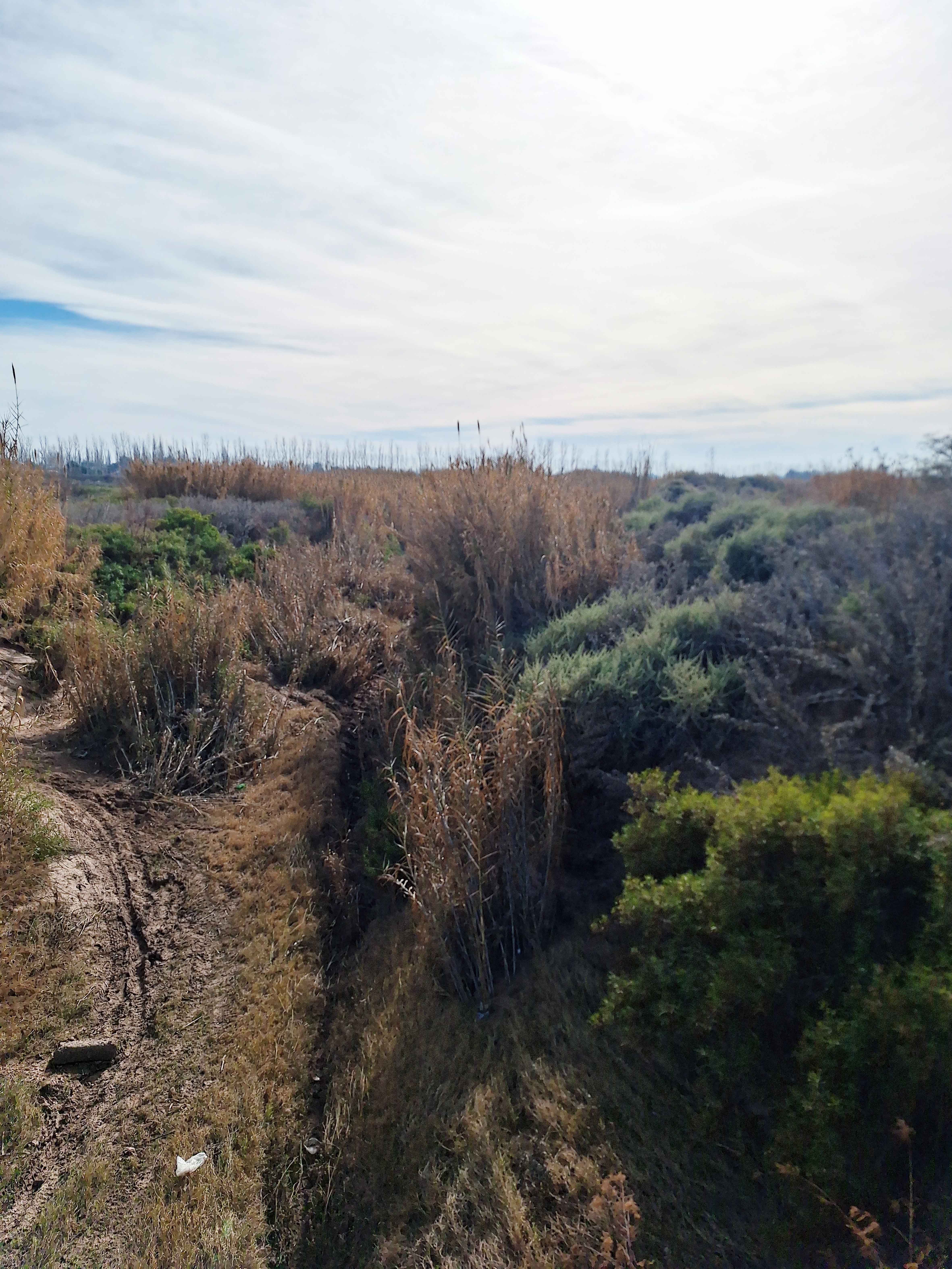 Ambiente del arroyo Claro