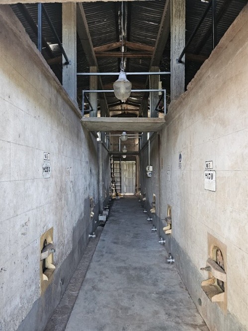 Nave del edificio original de la bodega, con piletas de hormigón a ambos lados del pasillo
