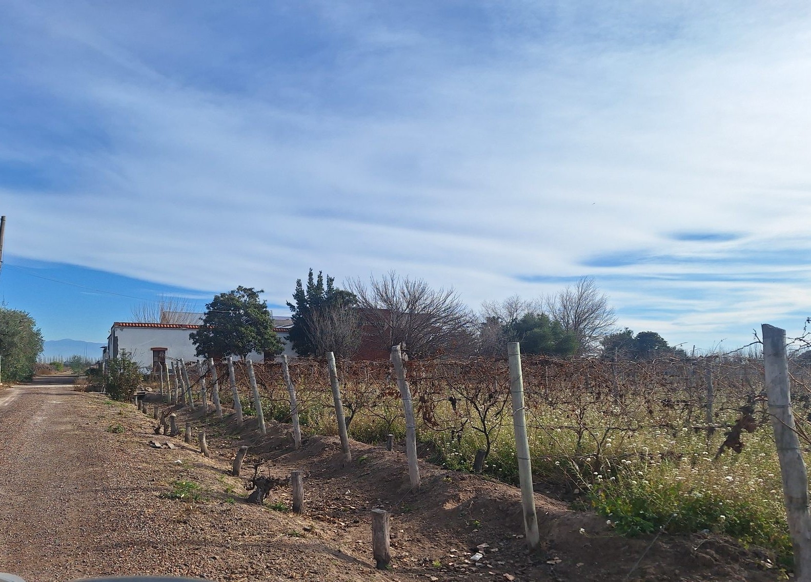 Ruta Productiva